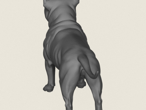 Pitbull Dog Standing 3D Print Model