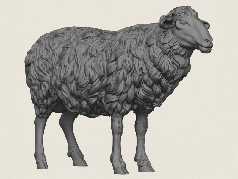 Sheep 3D Print Model .c4d .max .obj .3ds .fbx .stl .blend 