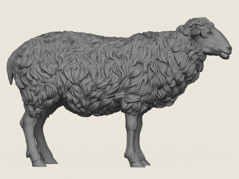 Sheep 3D Print Model