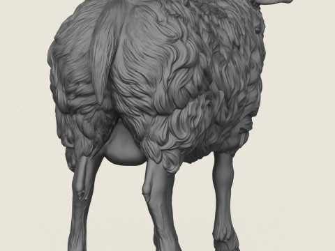 Sheep 3D Print Model