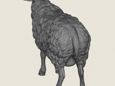 Sheep 3D Print Model
