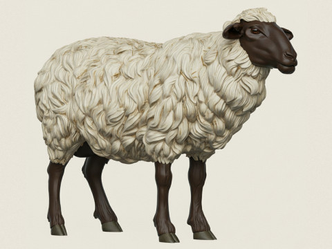 Sheep 3D Print Model
