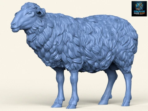 Mouton Modèles 3D en vedette