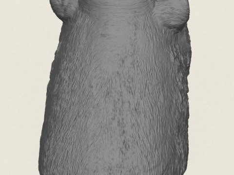 Vaso con testa di tasso Modello di stampa 3D