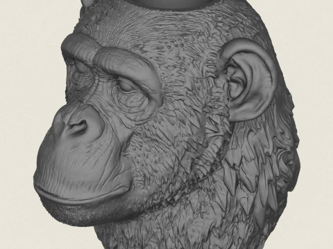 Chimpanzee Head Vase 3D Print Model