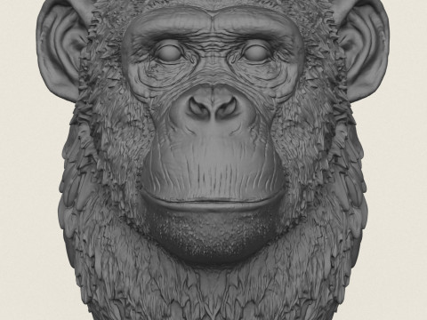 Chimpanzee Head Vase 3D Print Model