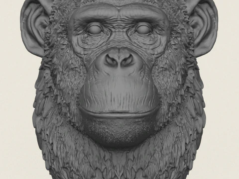 Chimpanzee Head Vase 3D Print Model