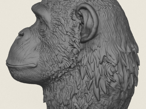Chimpanzee Head Vase 3D Print Model