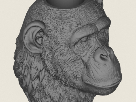 Chimpanzee Head Vase 3D Print Model