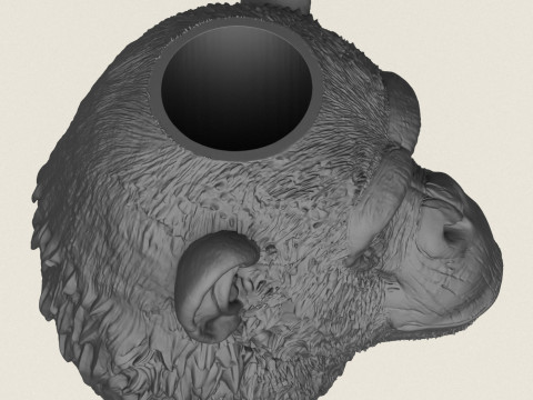 Chimpanzee Head Vase 3D Print Model
