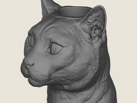 Cat Face Vase 3D Print Model