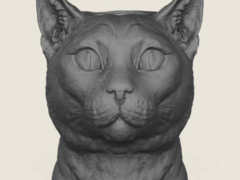 Cat Face Vase 3D Print Model