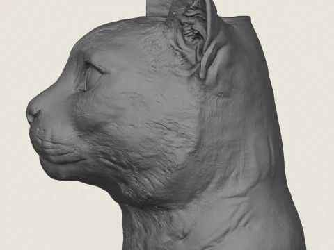 Ваза с кошачьим лицом 3D Принт Модель