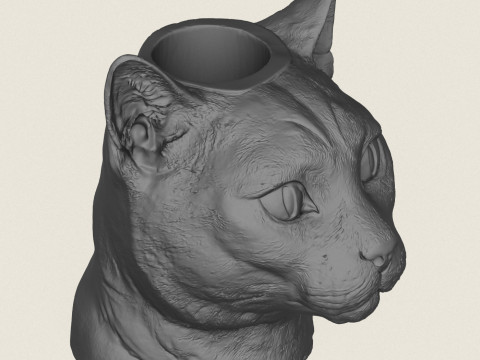Cat Face Vase 3D Print Model