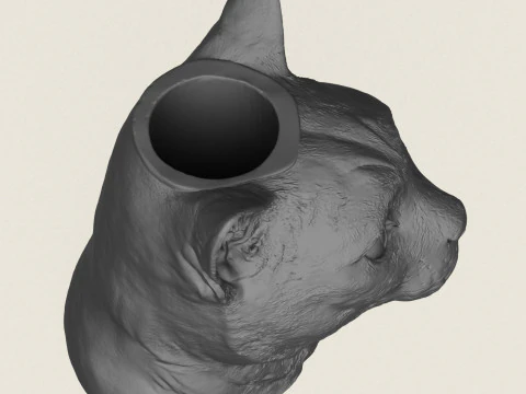 Ваза с кошачьим лицом 3D Принт Модель