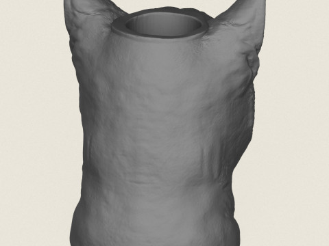 Cat Face Vase 3D Print Model