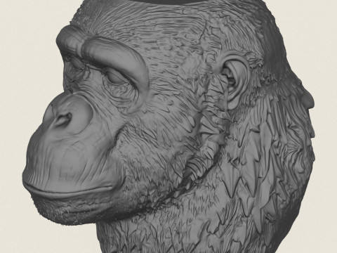 Gorilla Face Vase 3D Print Model