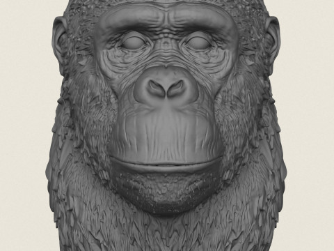Gorilla Face Vase 3D Print Model