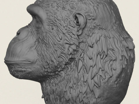 Wazon z twarzą goryla Model do druku 3D