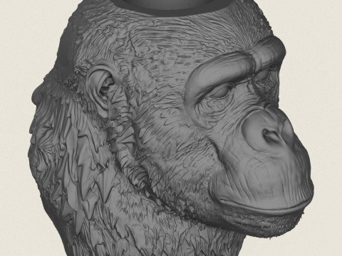 Gorilla Face Vase 3D Print Model