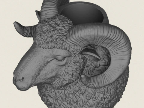 Ram Head Vase 3D Print Model
