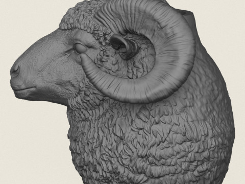 Ram Head Vase 3D Print Model