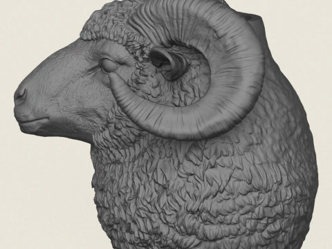 Ram Head Vase 3D Print Model