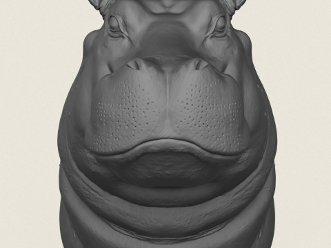 Hippopotamus Face Vase 3D Print Model