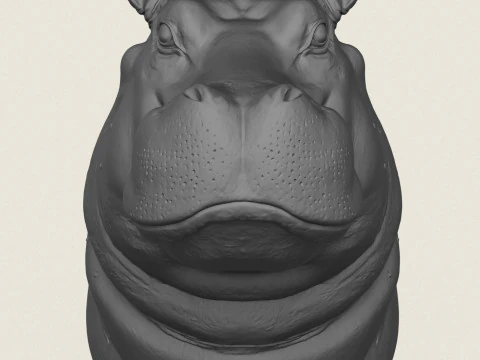 Hippopotamus Face Vase 3D Print Model