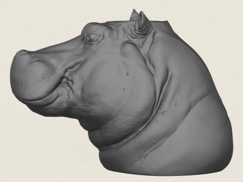 Hippopotamus Face Vase 3D Print Model