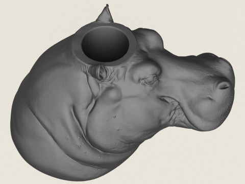 Hippopotamus Face Vase 3D Print Model