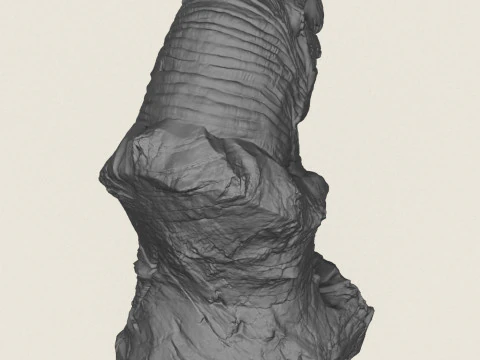 Trex Dinosaur Bust Statue 3D Print Model