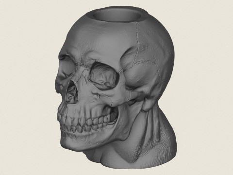 Menselijke schedel pot vaas 3D printmodel
