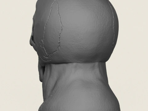 Human Skull Pot Vase 3D Print Model