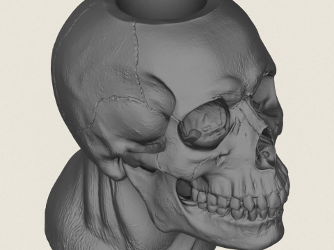 मानव खोपड़ी पॉट फूलदान 3D प्रिंट मॉडल