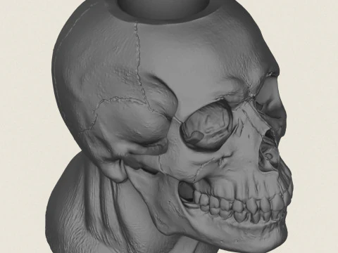 Human Skull Pot Vase 3D Print Model