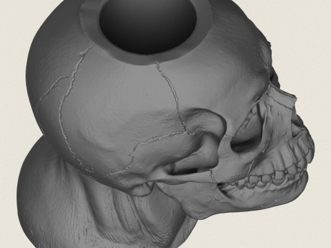 मानव खोपड़ी पॉट फूलदान 3D प्रिंट मॉडल