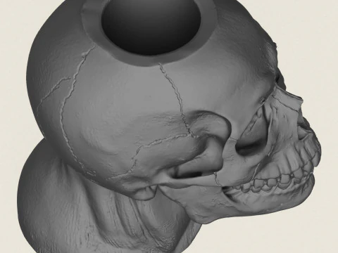 Human Skull Pot Vase 3D Print Model