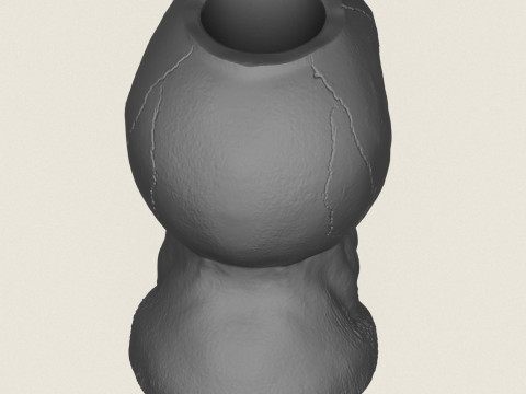 मानव खोपड़ी पॉट फूलदान 3D प्रिंट मॉडल