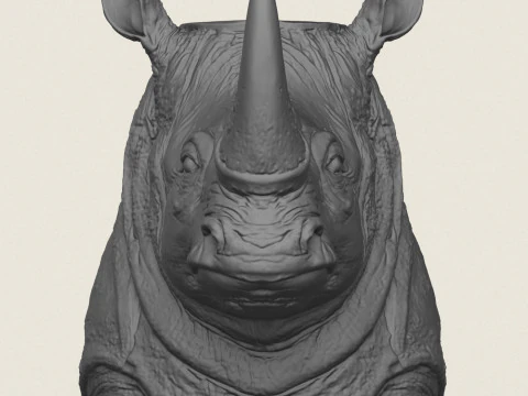 Rhinoceros Head Vase 3D Print Model
