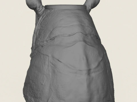 Rhinoceros Head Vase 3D Print Model