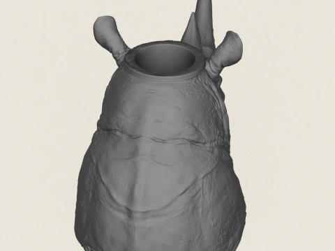 Rhinoceros Head Vase 3D Print Model