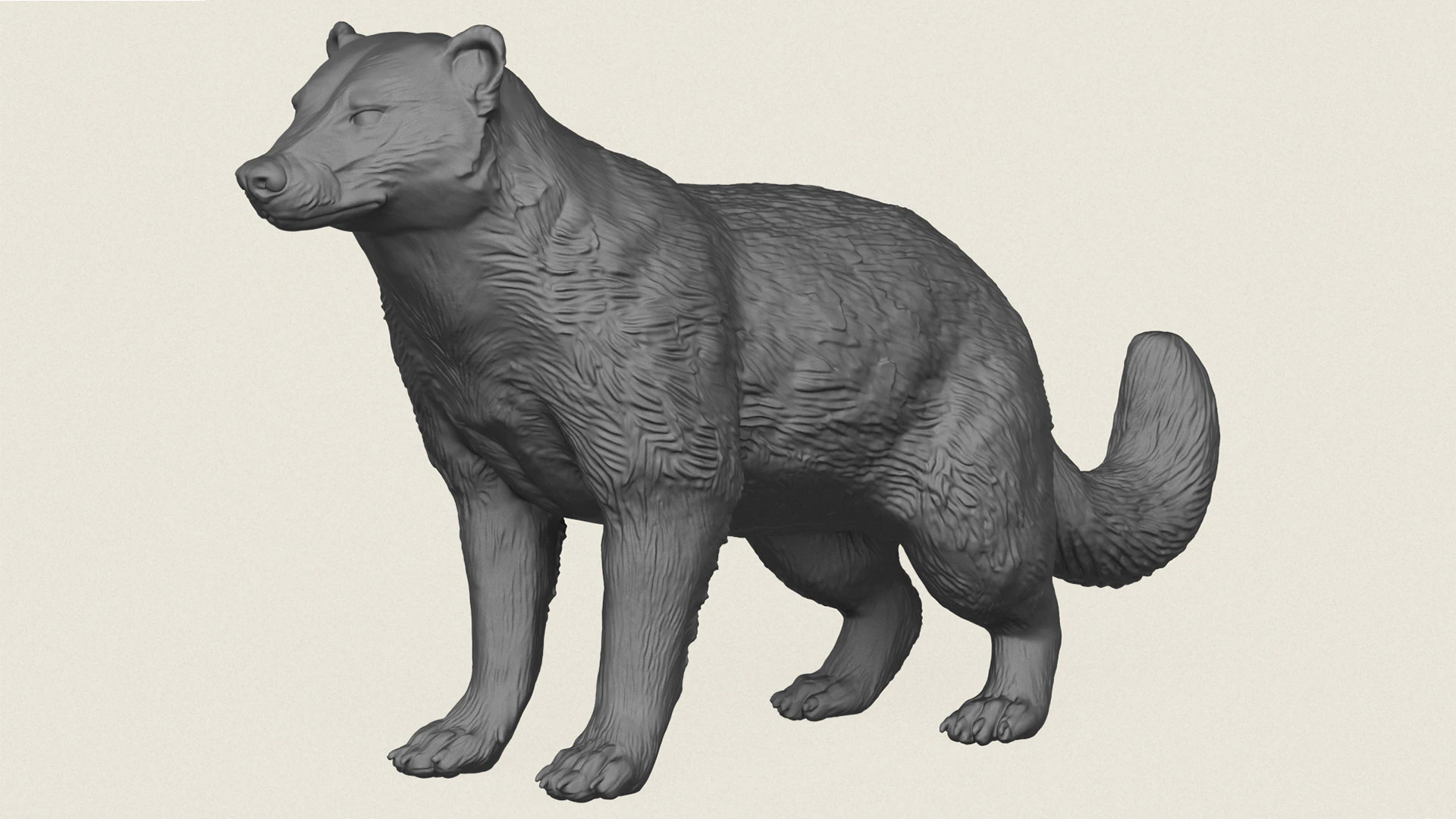 Wild Badger Animal 3D Print Model .c4d .max .obj .3ds .fbx .stl .blend 