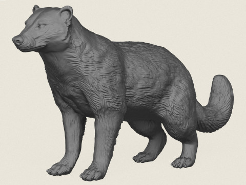 Animal tej&oacute;n salvaje Modelo de impresión 3D