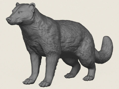 野生獾动物 3D 打印模型