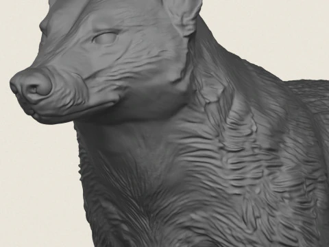 Wild Badger Animal 3D Print Model