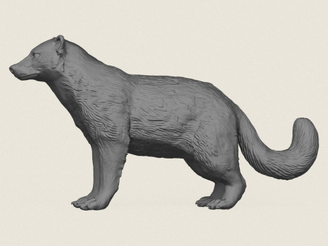 Wild dasdier 3D printmodel