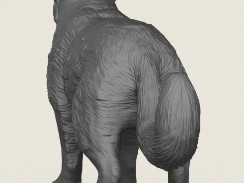 Wild Badger Animal 3D Print Model
