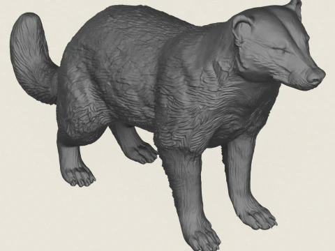Wild Badger Animal 3D Print Model