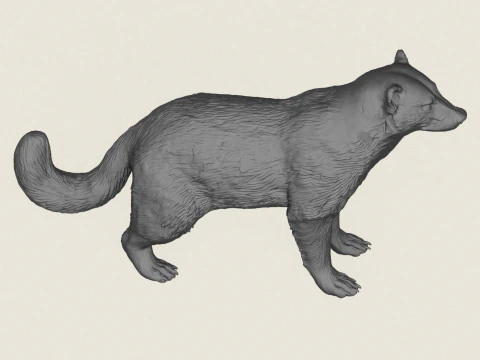 Wild Badger Animal 3D Print Model